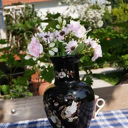 Etnobubi דירה Novi Sip