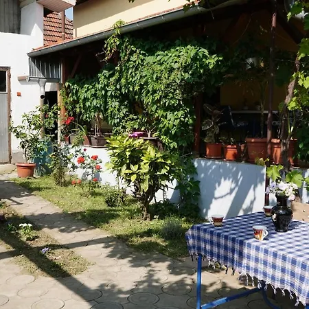 Etnobubi Novi Sip