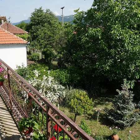Etnobubi Apartment Novi Sip