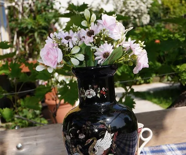 Etnobubi Daire Novi Sip