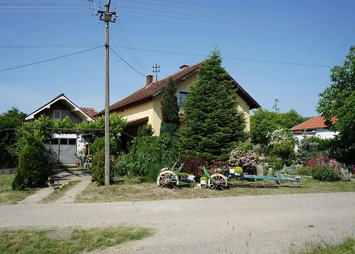 Daire Etnobubi Novi Sip